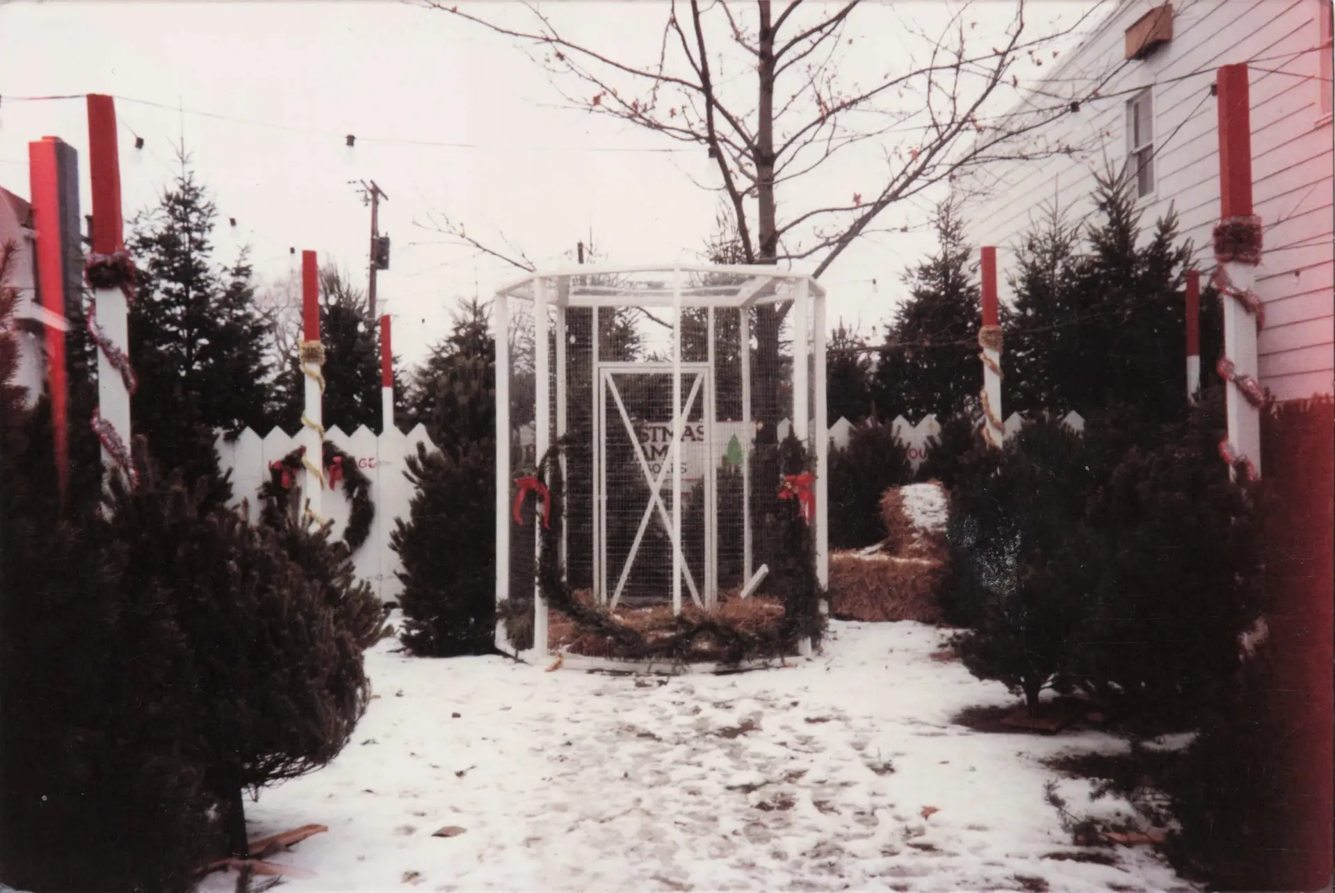 Black-and-white photo of an ornate iron archway near Drier's Meat Market in Three Oaks, Michigan